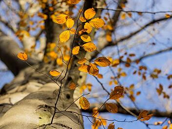 Herbstwetter
