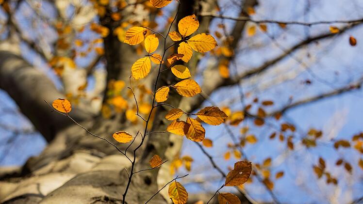Herbstwetter