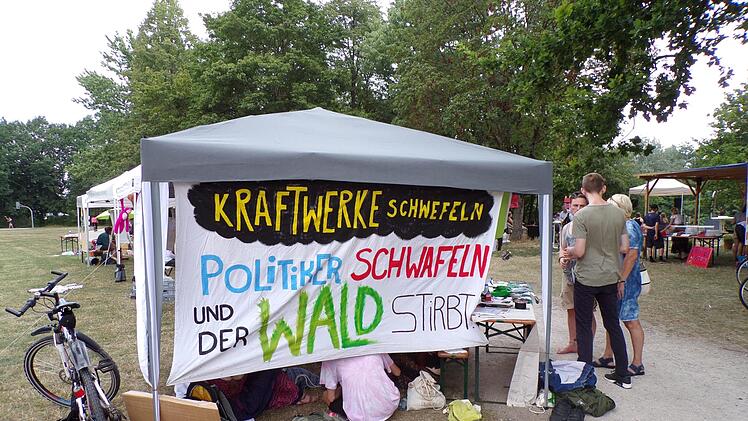 Protestplakat: "Kraftwerke schwefeln, Politiker schwafeln und der Wald stirbt." Foto: Peter Reifschneider
