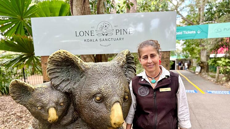 Koala-Schutzzentrum in Brisbane