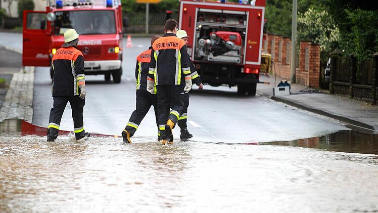 Stettfeld, Foto: NEWS5 / Herse