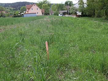 Das neue Baugebiet in Vogtendorf sorgt für Diskussionen. Foto: Andreas Schmitt
