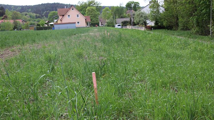 Das neue Baugebiet in Vogtendorf sorgt für Diskussionen. Foto: Andreas Schmitt