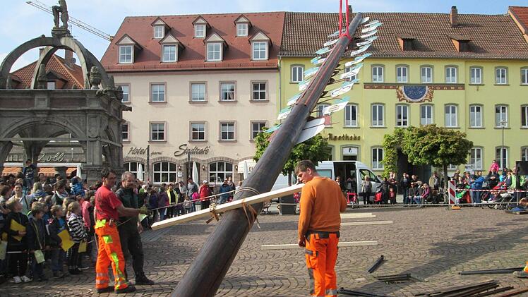 Anstelle eines Maibaums errichten die Stadt Hammelburg, der VWS und der Tourismusverein einen Zunftbaum, der die Wappen der Berufe in der Saalestadt trägt. Die Stadtkapelle, die Kinder der Grundschule am Mönchsturm und die Volkstanzgruppe aus Völkersleier umrahmten den alten, gut besuchten Brauch.  Foto: Winfried Ehling