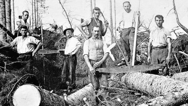 Floßknechte und Holzfäller aus dem Frankenwald verdienten nach 1930 ihr Brot im Bayerischen Wald.