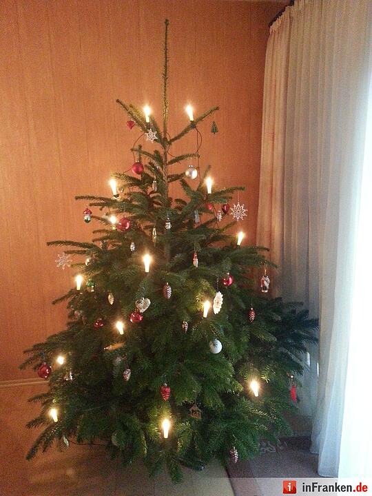Weihnachten in Franken: Die Christbäume unserer Leser
