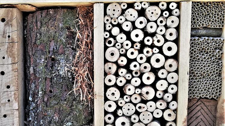 Teilansicht des AELF-Insektenhotels mit verschiedenen Harthölzern sowie Pappröhrchen (rechts oben) und Lehmbrocken (rechts unten), Foto: Sigismund von Dobschütz