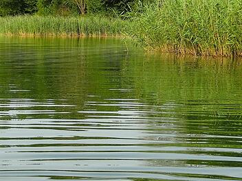 Michelau: Baden im Rudufersee bis auf Weiteres verboten - Gesundheitsgef&auml;hrdung