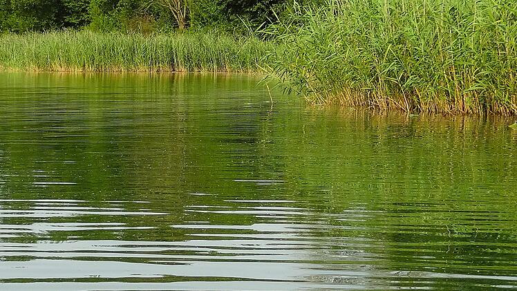 Michelau: Baden im Rudufersee bis auf Weiteres verboten - Gesundheitsgefährdung