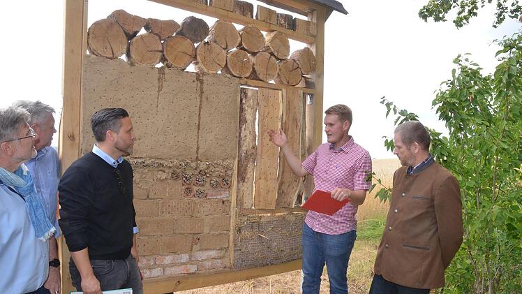 Niklas Sebald erklärt an dem von ihm selbst errichteten Insektenhotel, was er mit seiner Semesterarbeit erreichen wollte.Rainer Lutz
