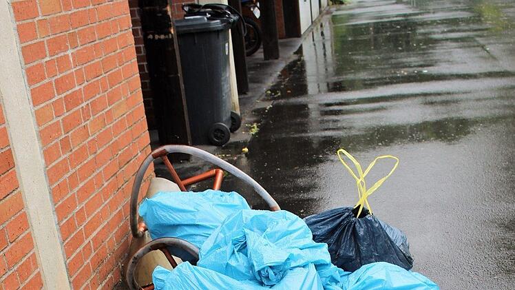 Dass sich die Aktion gelohnt hat, zeigen die vollen Müllsäcke am Ende des Tages.  Foto: Julia Raab