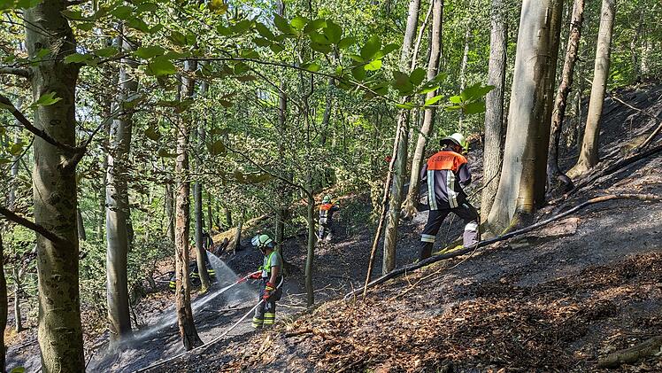 Waldbrand in Pflochsbach