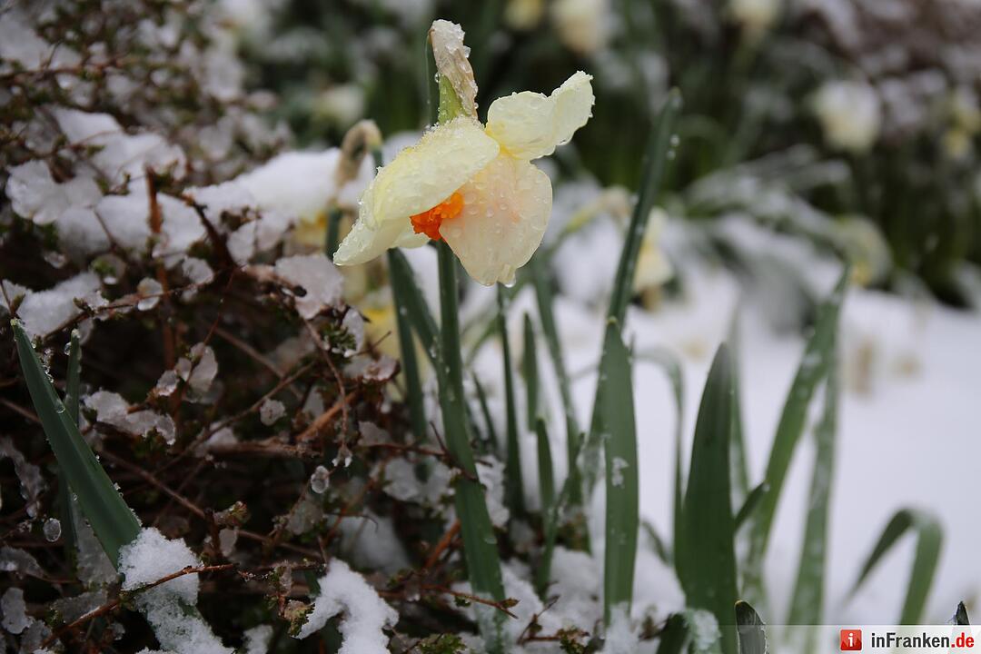 Winter im April 2016 in Franken