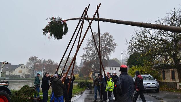 Die Ailsbacher beim Aufstellen der Kerwasfichte.Fotos: Larissa H&auml;ndel