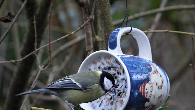 Futterglocken können Vogelarten vor dem Aussterben bewahren. Foto: Josef Schröder