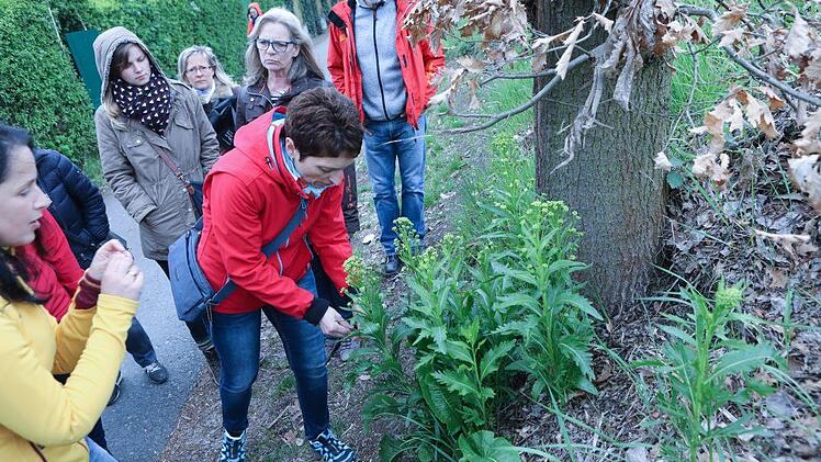 Kräuterseminar: Impressionen einer Entdeckungsreise Foto: Barbara Herbst