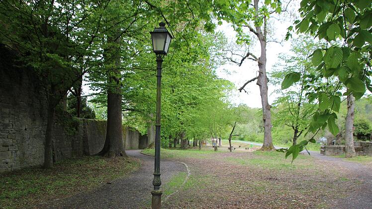 Von den historischen Straßenlampen soll es bald viel mehr im Jörgentorpark geben. Thomas Malz