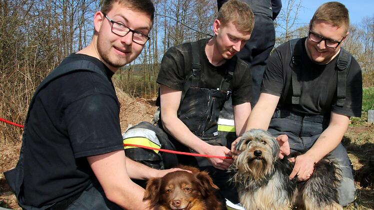 Viele Streicheleinheiten gab es für die geretteten Hunde Chichi und Purzel (von links) von den Rettern Georg Schuster, Manuel Kraus und Fabian Bartsch.