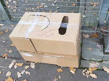 Tierheim Erlangen "fassungslos": Tiere in Karton ausgesetzt