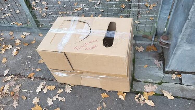 SplitImage 1763727530