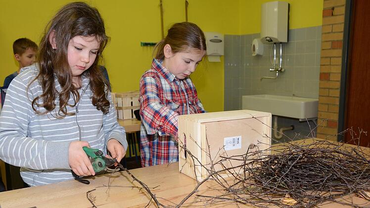 Impressionen vom Nisthilfenbau in der Melkendorfer Grundschule Dagmar Besand