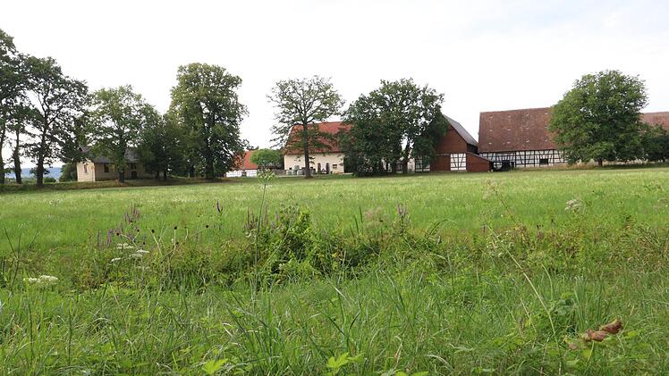 Hochwertiges Grün: Forchheim ringt um die Frage, ob Sigritzau ein Industriestandort werden darf.  Foto: Josef Hofbauer