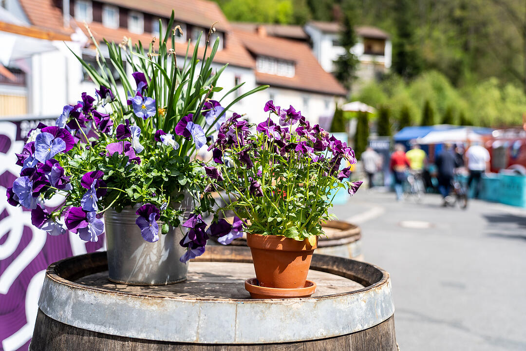 Die Premiere des Food-Festival lockte tausende Besucher an und war ein Mega-Erfolg.