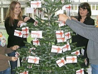 Die Mitarbeiterinnen des Familienbüros schmücken den Weihnachts-Wunschbaum (von links): Kathrin Finzel, Anna-Lena Strasser, Ursula Salberg und Annegret Hunger. Foto: Landratsamt Haßberge