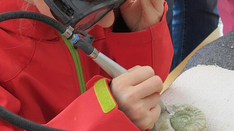 Beim Präparieren von Fossilien mit einem Druckluftstichel waren die jungen Gäste voll dabei. Foto: Doris Bauer