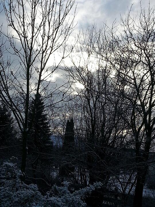 Schnee und Eis - Die schönsten Aufnahmen aus Franken