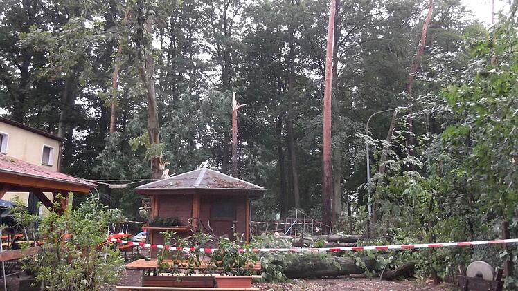 Foto: Gartenamt Bamberg