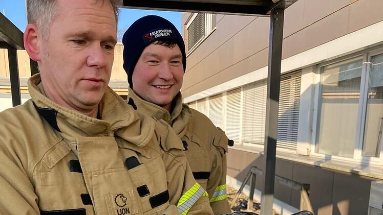 Verletzter Kormoran pickt gegen T&uuml;r von Notaufnahme