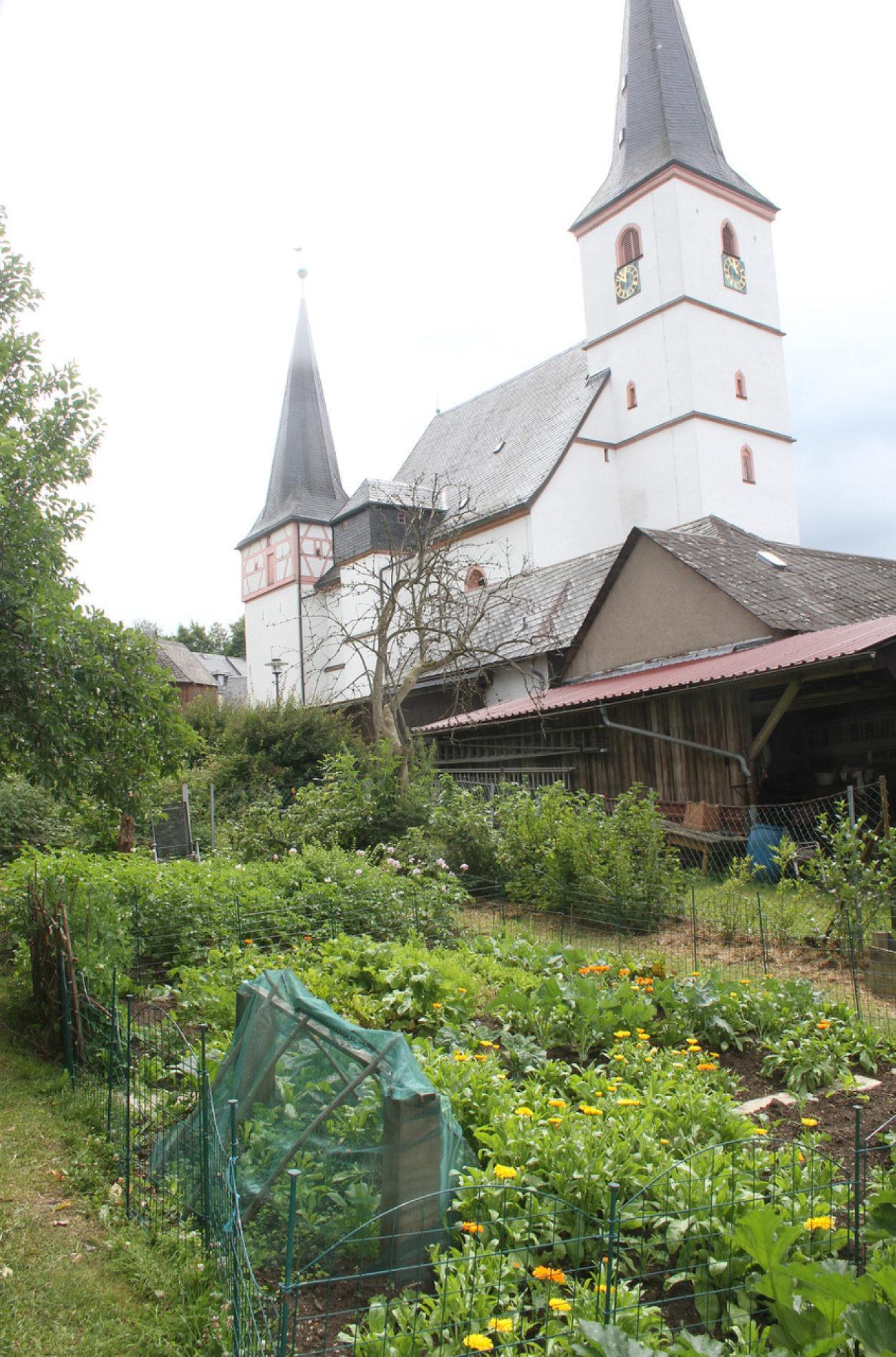 Grafengehaig wie es grünt und blüht