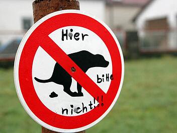 Auch in Zeyern gibt es Ärger mit dem Kot.  Foto: Matthias Hoch