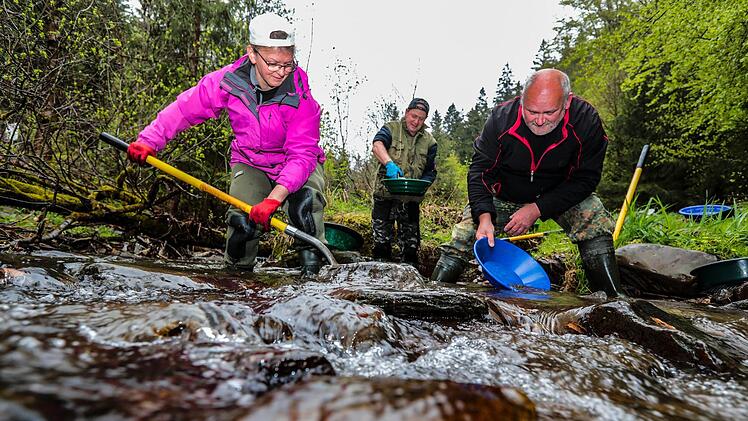 Goldwaschen ist harte Arbeit. Foto: Matthias Hoch