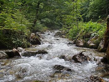 Zwei tote Jungen in Bayern am Wochenende - auch bei Lenggries wird ein 15-Jähriger im Wasser gefunden Wasser in einer Klamm.