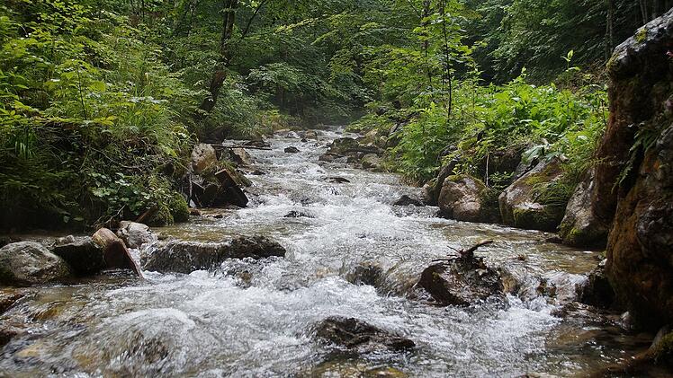 Wasser in einer Klamm.