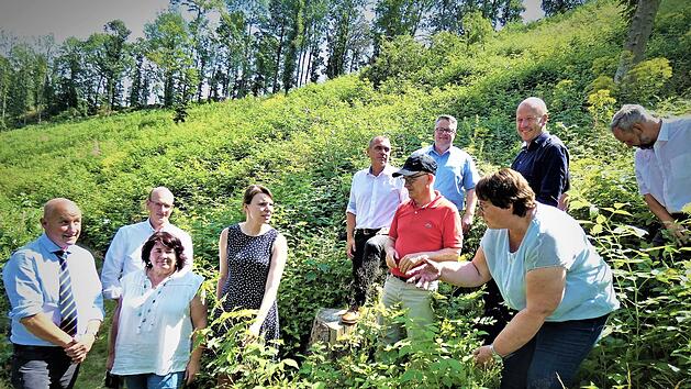 Die Teilnehmer besichtigen den Bl&uuml;hwald am "Neufanger Berg". Der urspr&uuml;ngliche Baumbestand wurde gerodet.