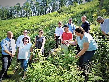 Die Teilnehmer besichtigen den Blühwald am "Neufanger Berg". Der ursprüngliche Baumbestand wurde gerodet.