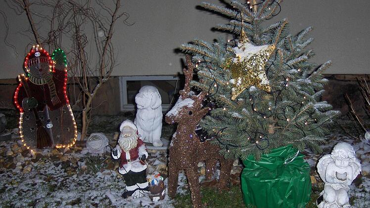 Winterimpressionen Foto: Günther Hanna