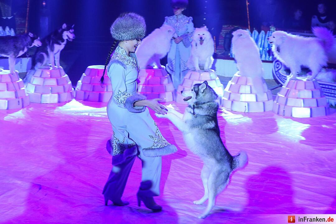 Circus Roncalli in Bamberg