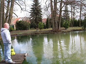 Joachim Buckel aus Münnerstadt steht auf dem Steg seines von Grundwasser gespeisten Sees und zeigt besorgt aufs gegenüberliegende Ufer. Die Wurzeln der dort wachsenden Erle ragen wie Mangroven bei Niedrigwasser aus dem See heraus. Um rund 40 Zentimeter hat sich der Pegel seines Teichs mittlerweile gesenkt. Foto: Heike Beudert