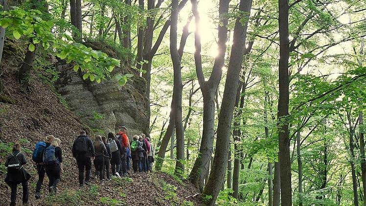 Wander in den Dermbacher Klippen Foto: Anna-Lena Bieneck
