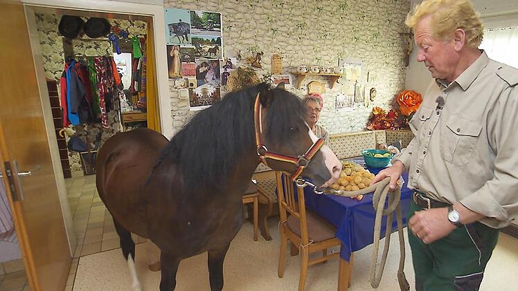 Gregor (66), der hessische Cowboy, hat neuen Unfug ausgeheckt. Kurzerhand führt er seinen Lieblingshengst in die Küche, in der Beate (60) gerade kocht. Beate ist entsetzt. Foto: RTL Alle Infos zu "Bauer sucht Frau" im Special bei RTL.de: http://www.rtl.de/cms/sendungen/bauer-sucht-frau.html
