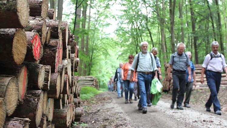 Leserwanderung im Hauptsmoorwald. Foto: Michael Memmel