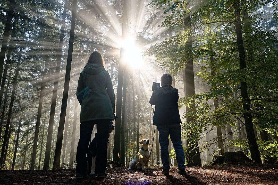 Wetter in Baden-W&uuml;rttemberg