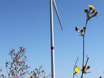 Ein Windrad bei Gauaschach. Die Anhänger der erneuerbaren Energien sehen hierin praktizierten Naturschutz. Foto: Markus Reeh