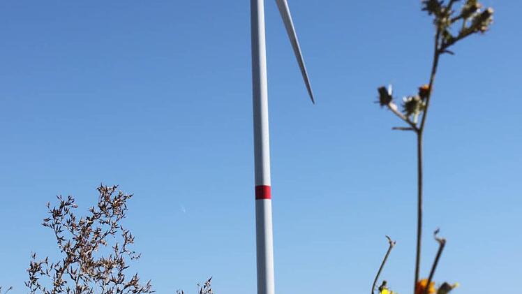 Ein Windrad bei Gauaschach. Die Anhänger der erneuerbaren Energien sehen hierin praktizierten Naturschutz. Foto: Markus Reeh