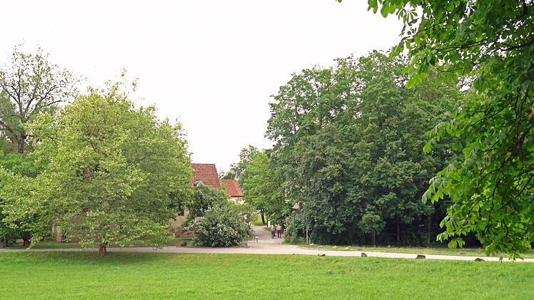 Aus dieser Perspektive ist Schloss Rosenau heute völlig hinter hohen Bäumen verschwunden. Und auch die einstigen Wirtschaftsgebäude sind nur noch teilweise inmitten der Vegetation sichtbar.Foto: Jochen Berger