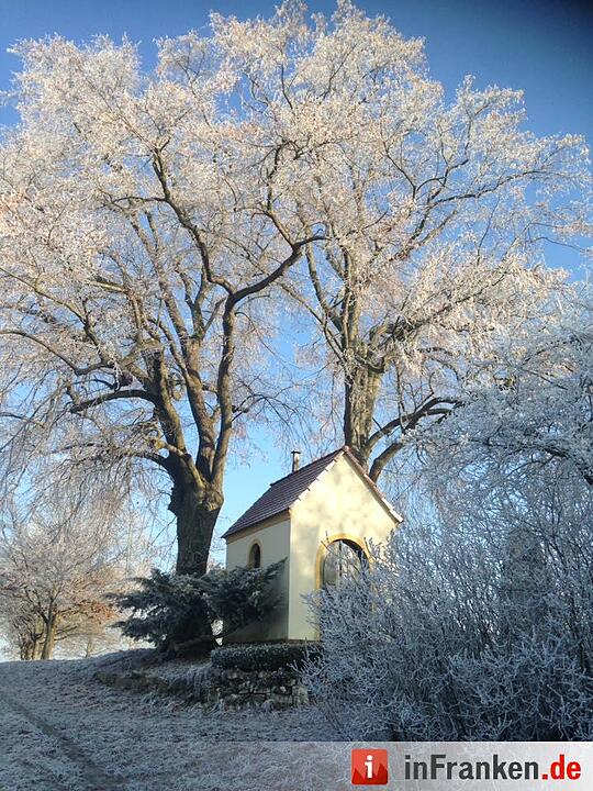 Eis und Schnee in Franken - die schönsten Winterleserfotos